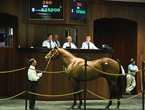 Flatter Colt Goes for $925,000 at OBS Flatter Colt Goes for $925,000 at OBS