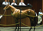Flatter Colt Goes for $925,000 at OBS