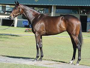 Sweet Dreams Brings Sweet $500,000 Price Sweet Dreams Brings Sweet $500,000 Price