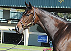 Sweet Dreams Brings Sweet $500,000 Price Sweet Dreams Brings Sweet $500,000 Price