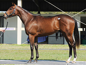 Repole Buys $325,000 Indian Charlie Colt Repole Buys $325,000 Indian Charlie Colt