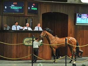 Officer Filly Brings $325,000 at OBS March Officer Filly Brings $325,000 at OBS March