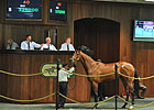 Officer Filly Brings $325,000 at OBS March Officer Filly Brings $325,000 at OBS March