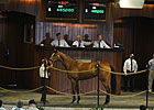 Ado Tops Exciting Day at OBS March Sale