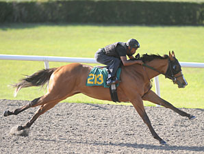 Indian Charlie Filly Dazzles in OBS Preview Indian Charlie Filly Dazzles in OBS Preview