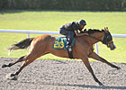 Indian Charlie Filly Dazzles in OBS Preview Indian Charlie Filly Dazzles in OBS Preview