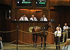 Strong OBS March Sale Posts Record Median Strong OBS March Sale Posts Record Median