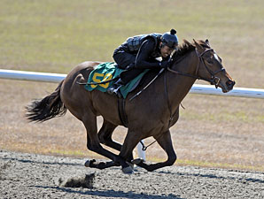 Six Juveniles Share Top Time at OBS Preview Six Juveniles Share Top Time at OBS Preview