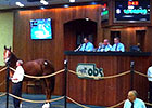 Carpe Diem, OBS March Co-Topper, Wins Debut Carpe Diem, OBS March Co-Topper, Wins Debut