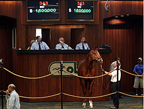 OBS Sale Closes With Records Shattered OBS Sale Closes With Records Shattered