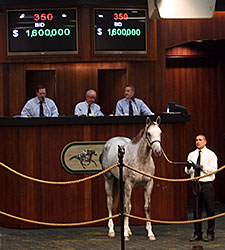 Two Colts Bring $1.6 Million Each at OBS Two Colts Bring $1.6 Million Each at OBS