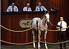 Two Colts Bring $1.6 Million Each at OBS Two Colts Bring $1.6 Million Each at OBS