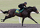 Expectations High for OBS 2-Year-Old Sale Expectations High for OBS 2-Year-Old Sale