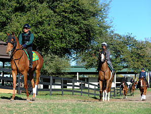 Signs Positive as OBS March Sale Approaches Signs Positive as OBS March Sale Approaches