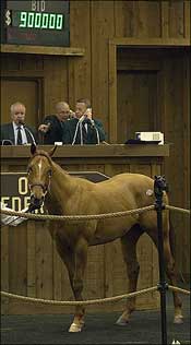 Forest Wildcat Colt Tops Final Session of OBS March Forest Wildcat Colt Tops Final Session of OBS March
