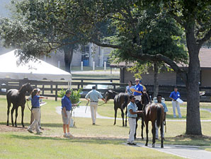 OBS Spring Sale Has 1,221 Horses OBS Spring Sale Has 1,221 Horses