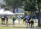 OBS Spring Sale Has 1,221 Horses OBS Spring Sale Has 1,221 Horses