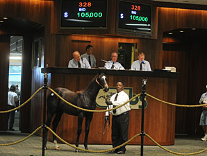 OBS Mixed Sale Suffers Major Losses OBS Mixed Sale Suffers Major Losses