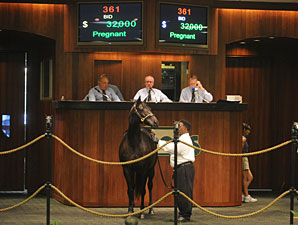 Downward Trend Continues at OBS Sale Downward Trend Continues at OBS Sale