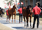 OBS, Consignors Ready for 2-Year-Old Sale OBS, Consignors Ready for 2-Year-Old Sale