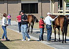 OBS March Sale Catalogs 345 Juveniles OBS March Sale Catalogs 345 Juveniles