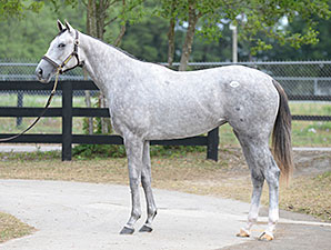 Second OBS Session Features Fireworks