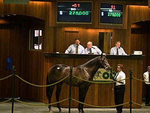 War Front Colt Charges to Lead at OBS War Front Colt Charges to Lead at OBS