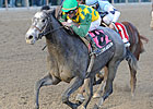 O'Prado Again Grinds Out Remsen Victory O'Prado Again Grinds Out Remsen Victory