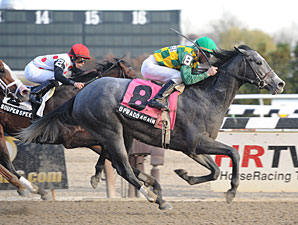 O'Prado Again Retires to Darby Dan O'Prado Again Retires to Darby Dan
