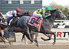 O'Prado Again Retires to Darby Dan O'Prado Again Retires to Darby Dan