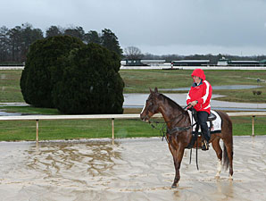Oaklawn Cancels Racing for Jan. 12 and 13 Oaklawn Cancels Racing for Jan. 12 and 13
