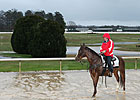 Oaklawn Cancels Racing for Jan. 12 and 13 Oaklawn Cancels Racing for Jan. 12 and 13