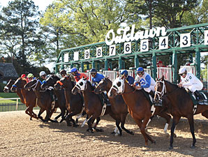 Oaklawn Schedule Reflects Big Purse Increases Oaklawn Schedule Reflects Big Purse Increases