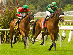 Obrigado Finds Winner's Circle in Round Table Obrigado Finds Winner's Circle in Round Table
