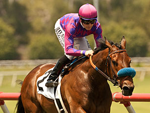 No Doubt About Obviously in American Handicap No Doubt About Obviously in American Handicap