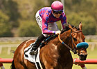 No Doubt About Obviously in American Handicap