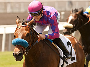 Obviously, Lucayan Headed for Shoemaker Mile Obviously, Lucayan Headed for Shoemaker Mile