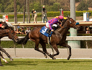 Obviously Stretches Out in American Handicap Obviously Stretches Out in American Handicap