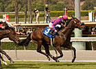 Obviously Stretches Out in American Handicap Obviously Stretches Out in American Handicap