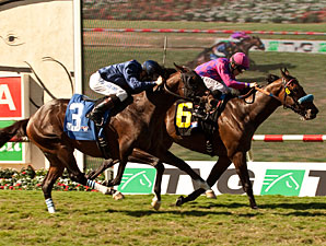Obviously Positioned for Del Mar Mile Repeat Obviously Positioned for Del Mar Mile Repeat