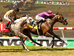 Obviously Answers Again in Del Mar Mile Win Obviously Answers Again in Del Mar Mile Win