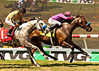 Obviously Answers Again in Del Mar Mile Win Obviously Answers Again in Del Mar Mile Win