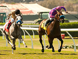 Obviously Big Standout in City of Hope Stakes Obviously Big Standout in City of Hope Stakes