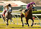 Obviously Big Standout in City of Hope Stakes Obviously Big Standout in City of Hope Stakes