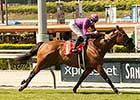 Obviously Repeats in Shoemaker Mile Stakes Obviously Repeats in Shoemaker Mile Stakes