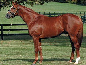 Ocean Terrace's First Winner Ocean Terrace's First Winner