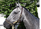 Octave Retired 