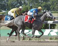 Pletcher-Trained Octave Favored in CCA Oaks Pletcher-Trained Octave Favored in CCA Oaks