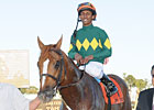KY Derby Contender Profile: Odysseus