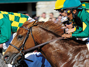 Odysseus, 2010 TC Contender, Dies Odysseus, 2010 TC Contender, Dies